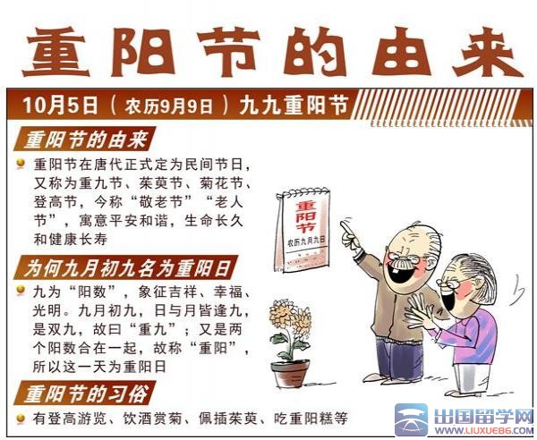2015年重阳节活动工作总结