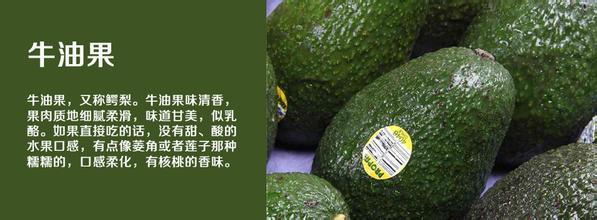 牛油果(avocado,樟科(lauraceae)鳄梨属常绿乔木,全属约50个种