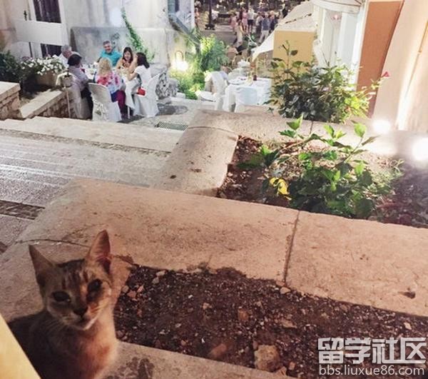 微信语录|微信心情语录|微信朋友圈经典语录