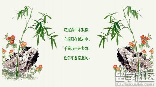 竹石的意思|竹石的诗意及释义|古诗《竹石》的意思