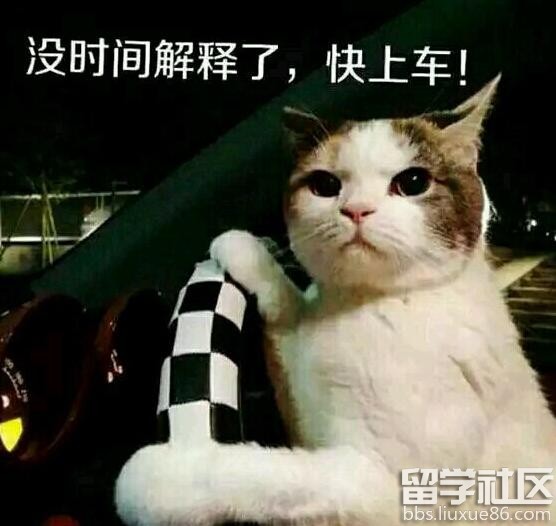 上车,开车是什么意思