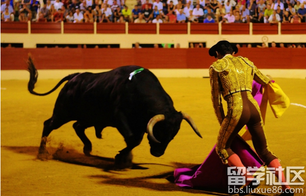 西班牙斗牛节是什么时候|西班牙斗牛节是哪天