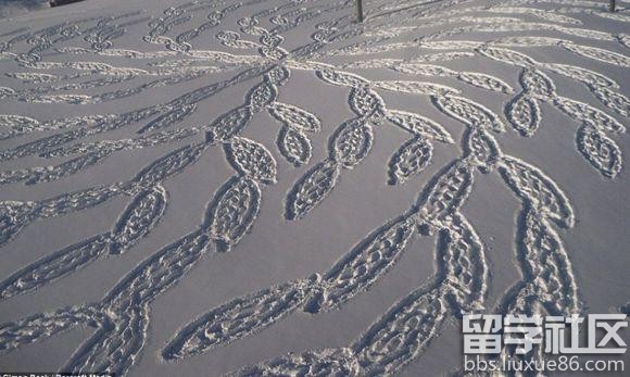 世界未解之谜:雪地怪圈之谜