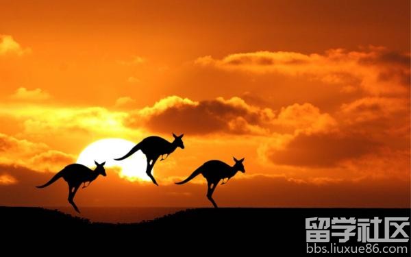 如何申请澳洲博士留学