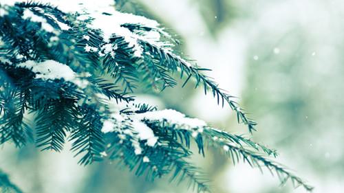 描写冬天的唯美诗句 关于冬天的古诗 冬天的诗
