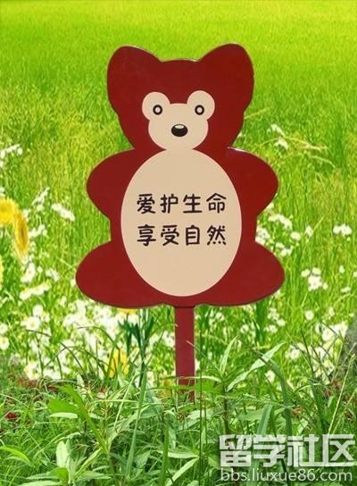 爱护生命享受自然标语