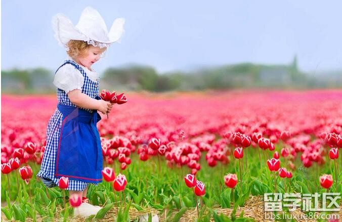 荷兰留学生活费用一览