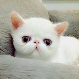 宝宝每天喝牛奶真的会上火吗