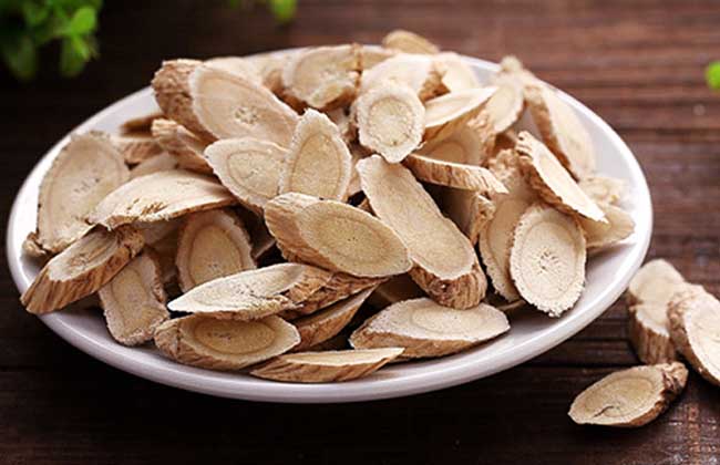 黄芪什么季节吃最好