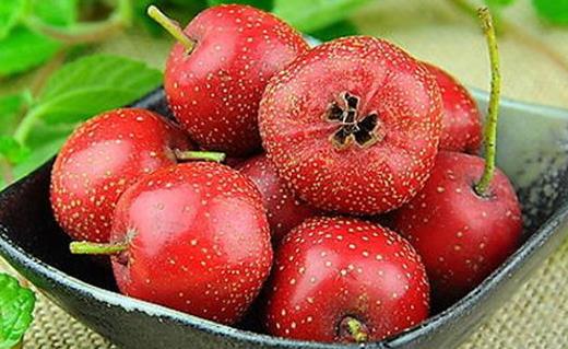 脾虚可以吃什么水果