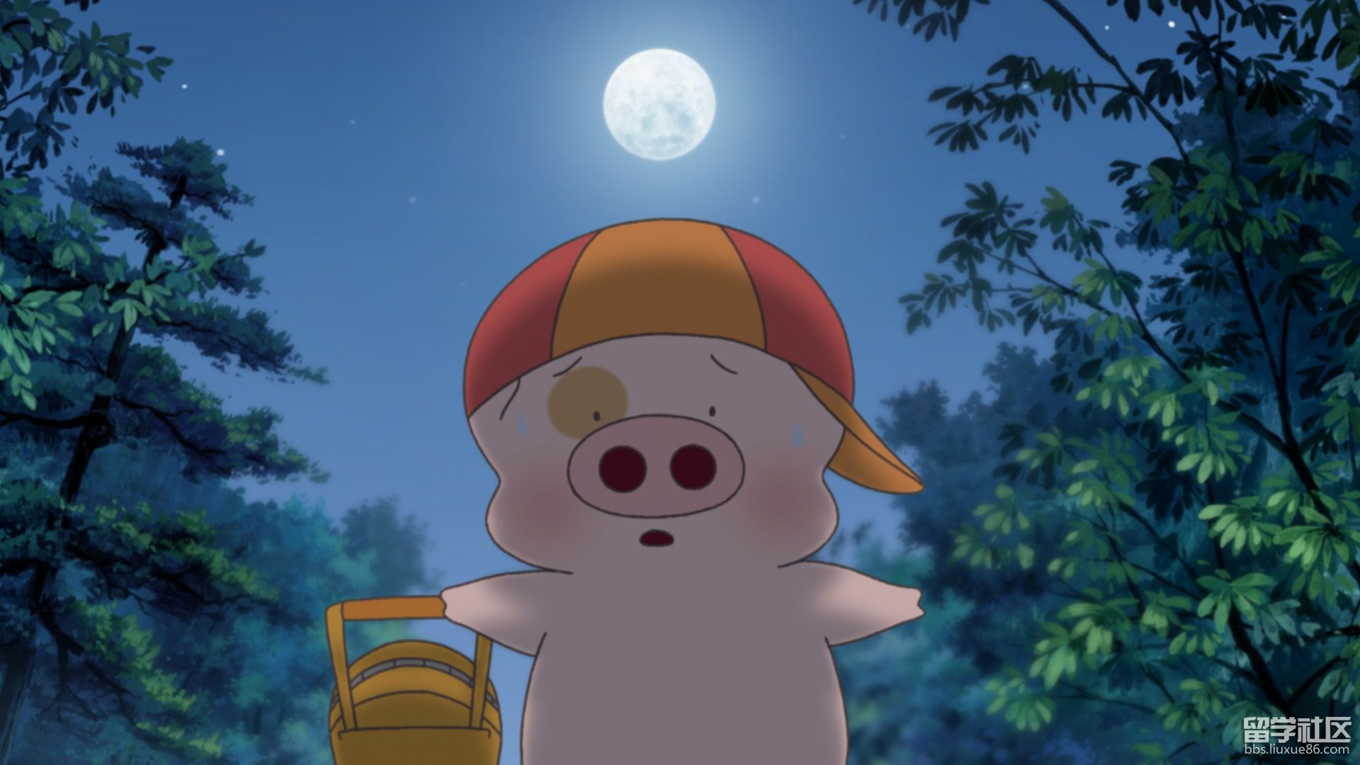 小猪麦兜是个可爱的动画角色,一直深受世界各国人民的喜爱,在小猪