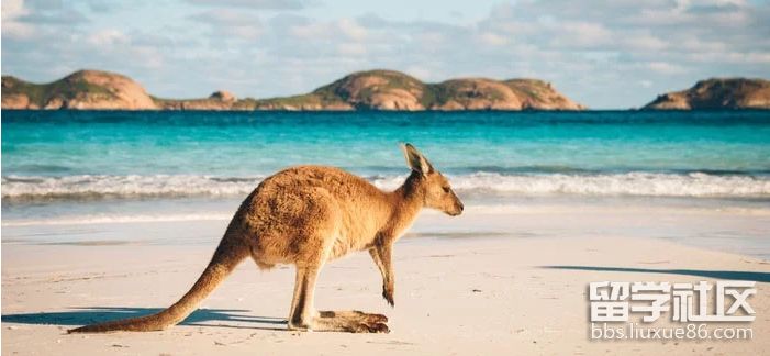 australia_3.png australia_3.png