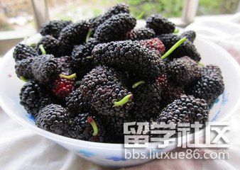 桑葚的功效和作用