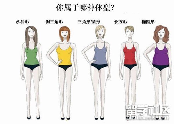为什么腰部最容易胖,又该怎么减腹!