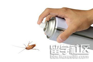 使用杀虫剂要注意什么