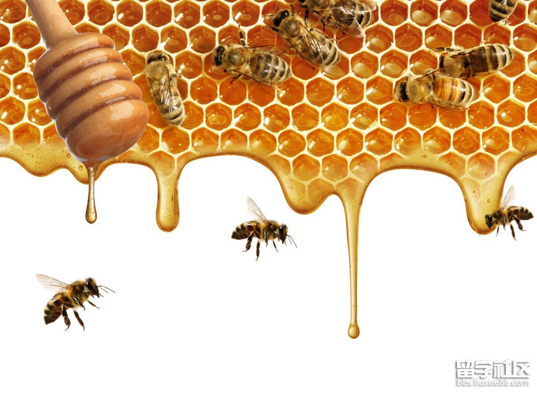 蜂蜜是个好东西,女性喝蜂蜜水的好处