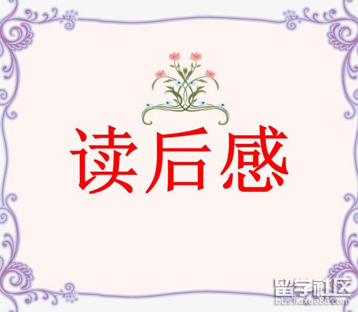 男生贾里全传 读后感