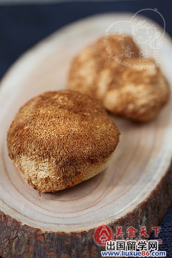 虫草花猴头菇咸肉汤