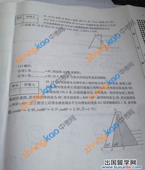 2013河南中考数学 试题