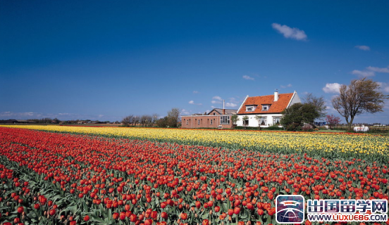 瑞典留学 瑞典新劳动力移民法解析