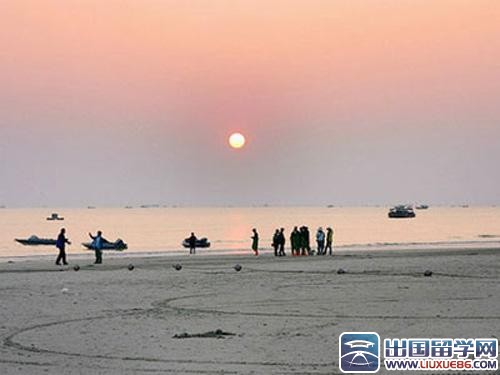 一句话爱情心灵鸡汤