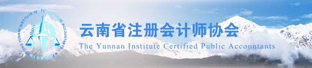 云南省注册会计师协会