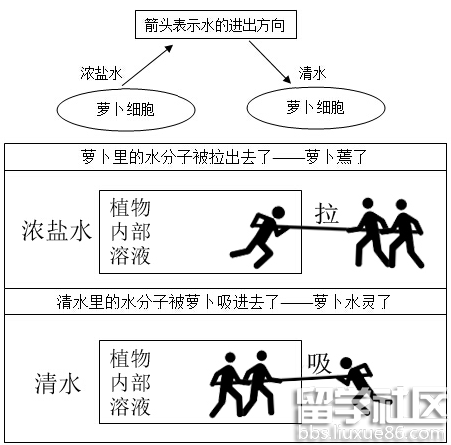 2016上半年教师资格证考试真题:中学教育知识与能力