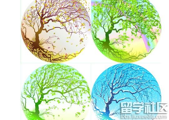 在四季中成长