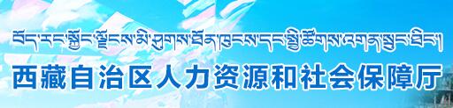 西藏自治区人力资源管理和保障信息网