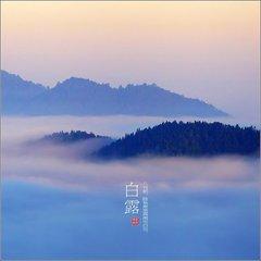 白露时节龙眼功效