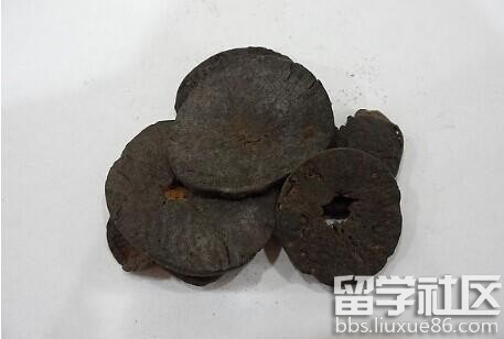 焦槟榔的功效与作用