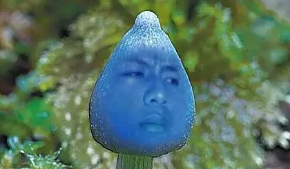 蓝瘦香菇""