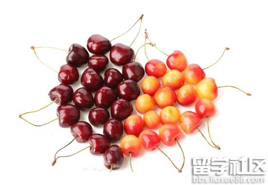 车厘子和樱桃的区别
