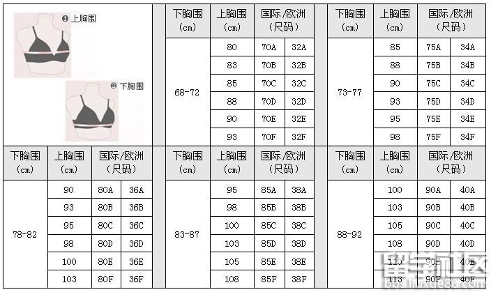 内衣尺码对照表_内衣尺寸对照表