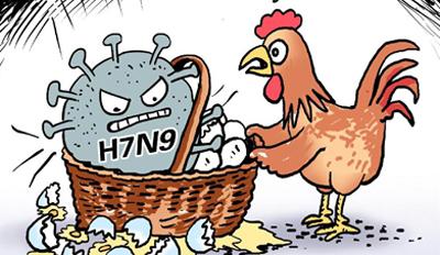 H7N9禽流感症状表现 H7N9流感症状