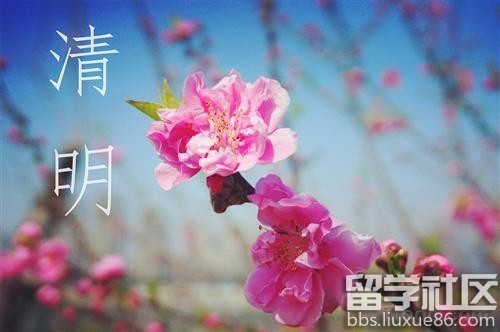 【2017清明節什麼時候】