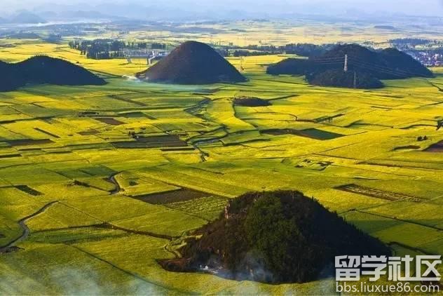 2017全年国内赏花时间表 每一次花开都不错过