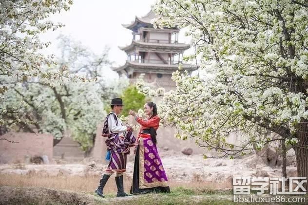 2017全年国内赏花时间表 每一次花开都不错过