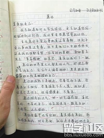说出了中年人心声 北京初二学生作文走红