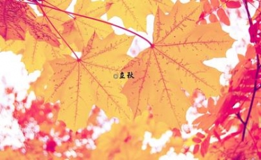 2017年立秋是早秋还是晚秋