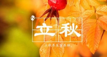2017年立秋是早秋还是晚秋