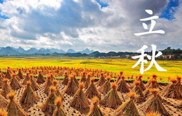2017年立秋是早秋还是晚秋