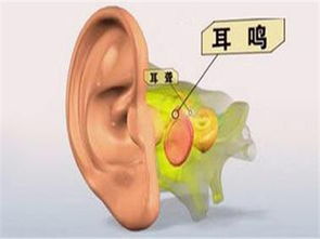 b9ab4942aef9c5db39bd007cd57a396c.jpg