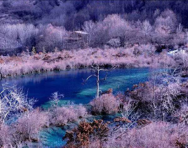 冬至飘雪,九寨沟银装素裹,冰凝瀑布,冰湖如镜,万籁俱静.