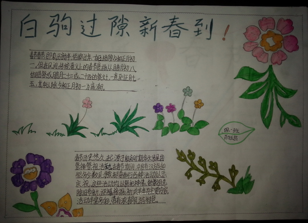 六年级春节手抄报（2）