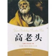 《高老头》的读后感800字