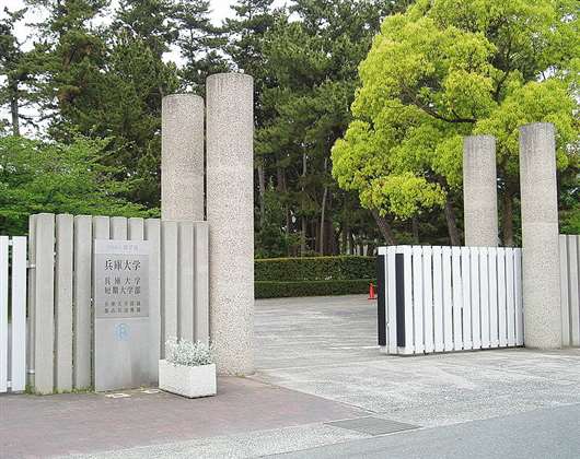 兵库大学