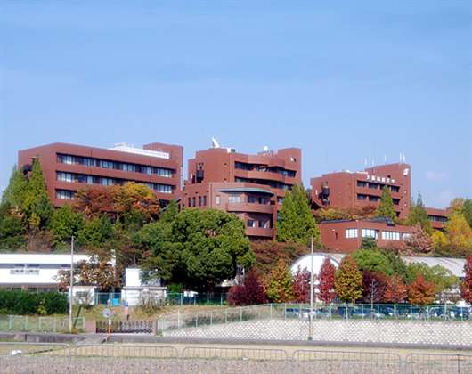大阪国际大学