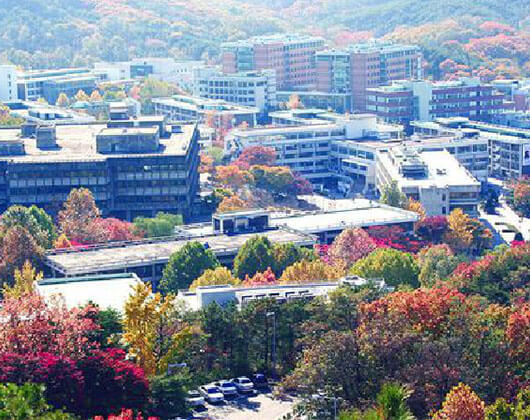 首尔大学