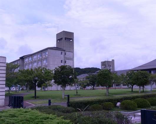 国际武道大学